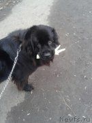 Превью фото № 184671