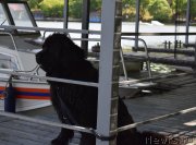 Превью фото № 184673