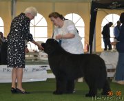 Превью фото № 184693