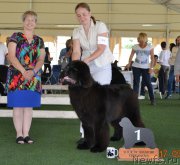 Превью фото № 184704