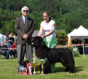 Превью фото № 184709