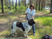 Превью фото № 184744