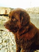 Превью фото № 184746