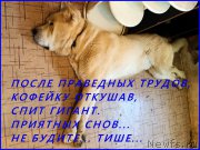 Превью фото № 184751