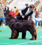 Превью фото № 18477