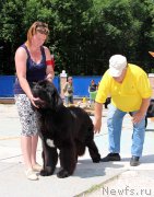 Превью фото № 184775