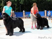 Превью фото № 184783