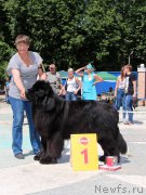 Превью фото № 184784