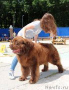 Превью фото № 184786