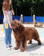 Превью фото № 184787