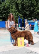 Превью фото № 184788