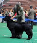 Превью фото № 18479