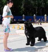 Превью фото № 184791