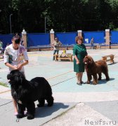 Превью фото № 184792