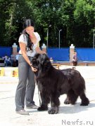 Превью фото № 184798