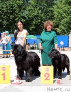 Превью фото № 184799