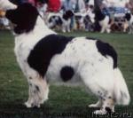 Превью фото № 1848