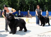 Превью фото № 184804