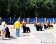 Превью фото № 184811