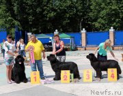 Превью фото № 184815