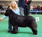 Превью фото № 18482