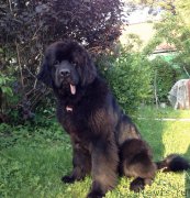 Превью фото № 184825