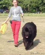 Превью фото № 184827