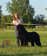 Превью фото № 184844