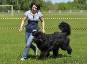 Превью фото № 184846