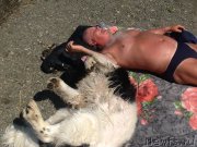 Превью фото № 184854