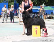 Превью фото № 184859