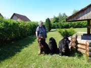 Превью фото № 184869