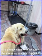 Превью фото № 184920