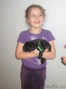 Превью фото № 184922