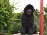 Превью фото № 184926