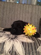 Превью фото № 184946