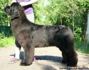 Превью фото № 184959