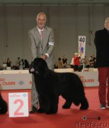 Превью фото № 184964