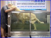 Превью фото № 184977