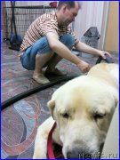 Превью фото № 184979