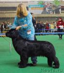 Превью фото № 18500