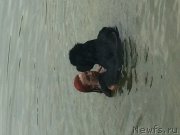 Превью фото № 185005