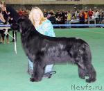 Превью фото № 18501