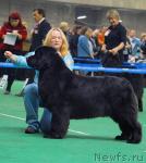 Превью фото № 18504