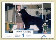 Превью фото № 185077