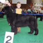 Превью фото № 18508