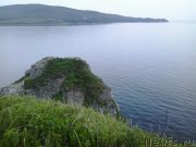 Превью фото № 185086