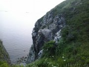 Превью фото № 185088