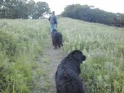 Превью фото № 185090