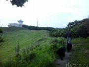 Превью фото № 185091